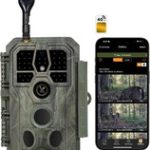 The best hunting camera for strong filming in 2024